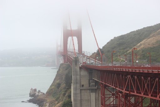 Photo: Today I walked toward the golden gate and the fog ate it halfway across.